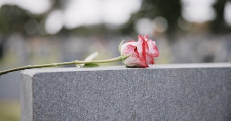 Rénovation de gravure sur pierre tombale, les étapes essentielles à connaître
